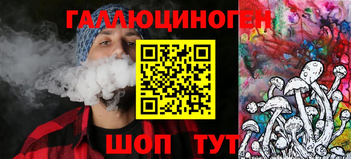 Псилоцибиновые грибы MAGIC MUSHROOMS  Вход с VPN  Павловский Посад 