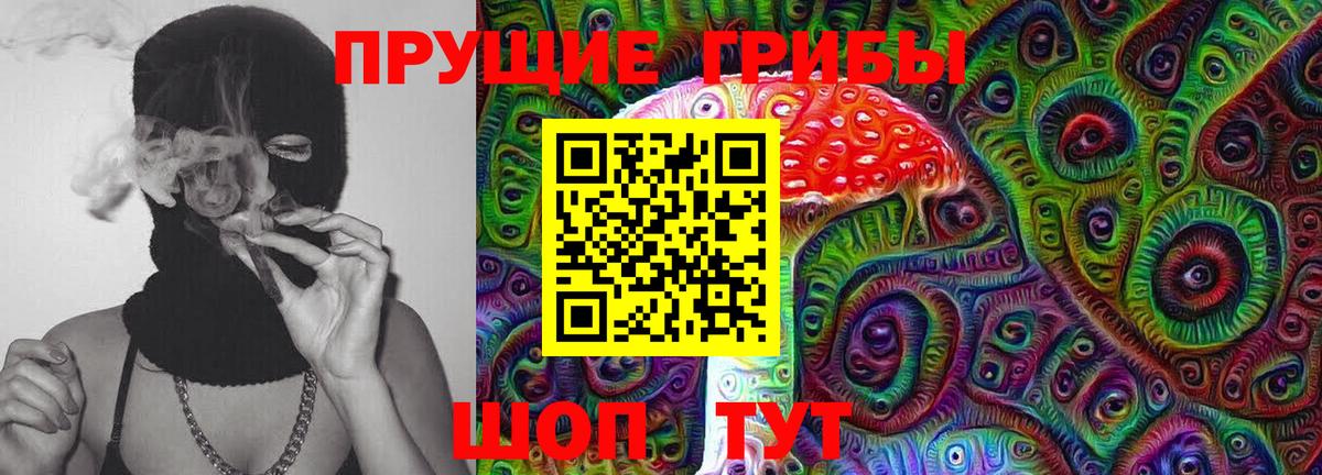 Псилоцибиновые грибы Cubensis Павловский Посад