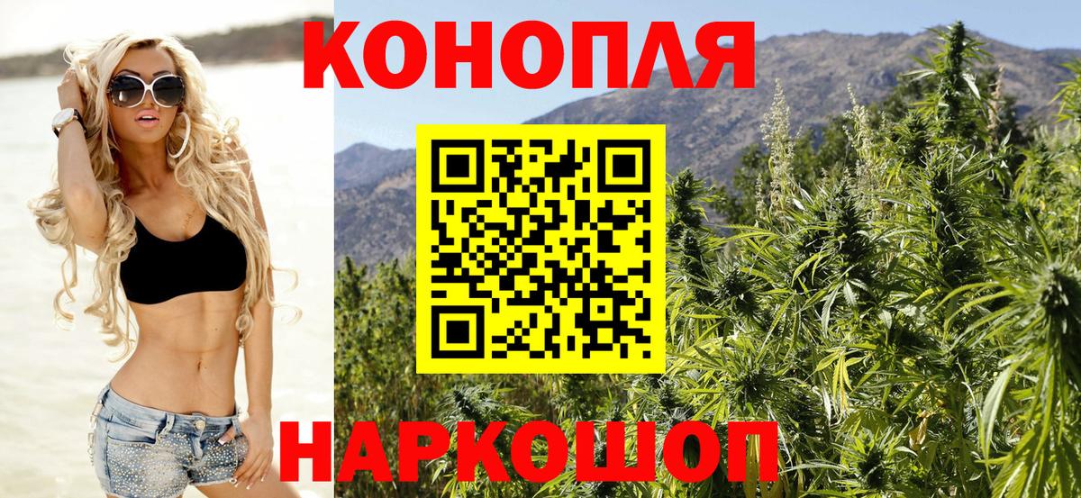 МАРИХУАНА конопля Павловский Посад